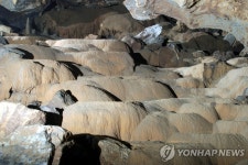 환선굴·대금굴 갖춘 삼척에 동굴자연생태관 첫 삽…내년 준공 | 연합뉴스