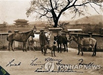 [마이더스] 한독 수교 140주년… 도약과 침체의 기로에서 | 연합뉴스