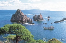 네이버 검색 결과 사진 6