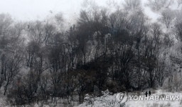  | 연합뉴스