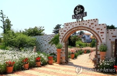 태안 팜카밀레 허브농원서 허브축제 열려 | 연합뉴스