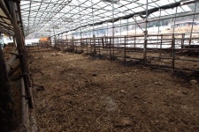 한국에선 외국산 쇠고기 주로 먹는다…국산 비중 40% 붕괴(종합) | 연합뉴스