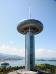네이버 검색 결과 사진 2
