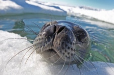 웨델해표의 깜짝 방문 | 연합뉴스