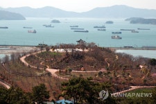 창원시 새명물 진해 장천 벚꽃 공원 | 연합뉴스