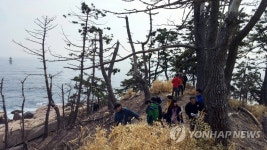 속초시, 죽어가는 섬…조도(鳥島) 살리기 나서 | 연합뉴스
