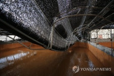 폭설에 무너진 양어장 하우스 | 연합뉴스