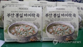 전북 부안 뽕잎 바지락죽 호평 | 연합뉴스