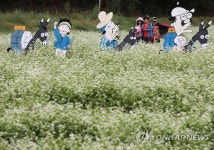 메밀꽃 필 무렵 | 연합뉴스