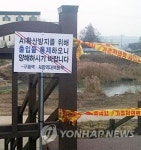 경기 안성천 야생조류 분변서 또 H5N8형 AI 검출 | 연합뉴스