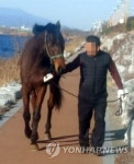부산 도심에 말 출몰…10㎞ 뛰어다니다 붙잡혀 | 연합뉴스