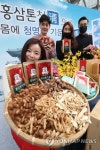 정관장 홍삼톤 청 출시 | 연합뉴스