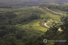 비무장지대의 짙은 녹색 | 연합뉴스