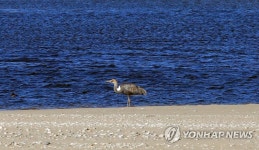 경기도 2030년까지 하천 60곳 정비…1조3천억원 투입 | 연합뉴스
