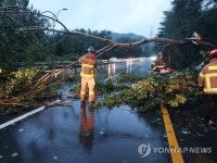 [태풍 힌남노] 부서지고 침수되고 대구도 피해 잇따라 | 연합뉴스