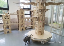 경기 반려마루 여주 고양이 보호동 | 연합뉴스