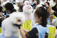 서울 FCI 국제 도그쇼 | 연합뉴스