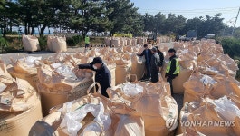 강릉시, 공공비축미 수매 | 연합뉴스