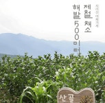 산골이유식 실온이유식 파우치 런칭 | 키디키디(KIDIKIDI)