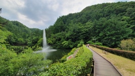 만인산 자연휴양림 > 일상갤러리 | 퀘이사존 만인산 자연휴양림