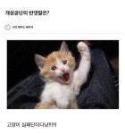 안 웃기면 지구를 떠나겠습니다!!! > 유머게시판 | 퀘이사존 QUASARZONE 안 웃기면 지구를 떠나겠습니다!!!