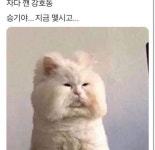자다 깬 강호동 > 유머게시판 | 퀘이사존 QUASARZONE 자다 깬 강호동