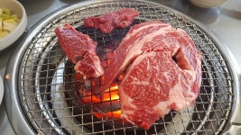 홍천 한우 먹고 왔습니다! > 일상갤러리 | 퀘이사존 홍천 한우 먹고 왔습니다!
