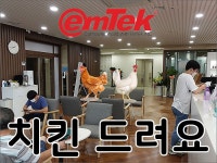 이엠텍 서비스센터 이전 기사보면 치킨드림! > 이벤트 | 퀘이사존 QUASARZONE 이엠텍 서비스센터 이전 기사보면 치킨드림!