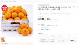 [위메프] 서귀포 극조생 노지감귤 5kg(6,900원/무료) > 핫딜 | 퀘이사존 QUASARZONE [위메프] 서귀포 극조생 노지감귤 5kg(6,900원/무료)