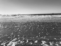 안면도에 다녀왔습니다 > 일상갤러리 | 퀘이사존 안면도에 다녀왔습니다