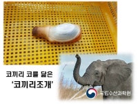 동서양의 차이 > 유머게시판 | 퀘이사존 QUASARZONE 동서양의 차이