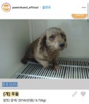 유기견 입양 후 확대범 > 유머게시판 | 퀘이사존 QUASARZONE 유기견 입양 후 확대범