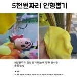 5천원짜리 인형뽑기 > 유머게시판 | 퀘이사존 QUASARZONE 5천원짜리 인형뽑기