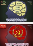정상적인 청소년의 뇌와 게임중독 청소년의 뇌 > 유머게시판 | 퀘이사존 QUASARZONE 정상적인 청소년의 뇌와 게임중독 청소년의 뇌