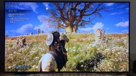 어쌔신 크리드 발할라 그래픽 정말 죽이네요 > 스팀/PC게임 | 퀘이사존 QUASARZONE 어쌔신 크리드 발할라 그래픽 정말 죽이네요