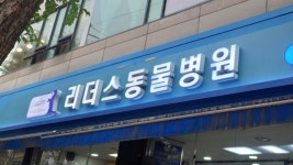 리더스 동물병원 > 자유게시판 | 퀘이사존 QUASARZONE 리더스 동물병원