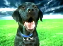 잘했어! > 자유게시판 | 퀘이사존 QUASARZONE 잘했어!