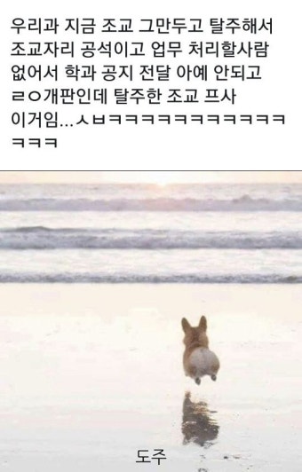 탈주한 조교 카톡프사 > 유머게시판 | 퀘이사존 QUASARZONE 탈주한 조교 카톡프사