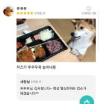 퀘이사존