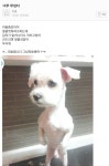 미용실이 맘에 안든 손님 > 유머게시판 | 퀘이사존 QUASARZONE 미용실이 맘에 안든 손님