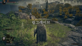 엘든링 프레임이 너무 낮게 나오는데 왜 이러죠? > 스팀/PC게임 | 퀘이사존 QUASARZONE 엘든링 프레임이 너무 낮게 나오는데 왜 이러죠?