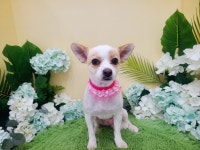 퀘존 회원님들 고양이 참 좋아하시죠 ? > 자유게시판 | 퀘이사존 퀘존 회원님들 고양이 참 좋아하시죠 ?