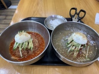 여름에는 역시 냉면 - 반반 냉면이 진리 > 음식/여행 | 퀘이사존 QUASARZONE 여름에는 역시 냉면 - 반반 냉면이 진리