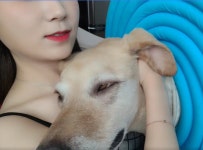 행복한 멍뭉이 > 반려동물 | 퀘이사존 QUASARZONE 행복한 멍뭉이