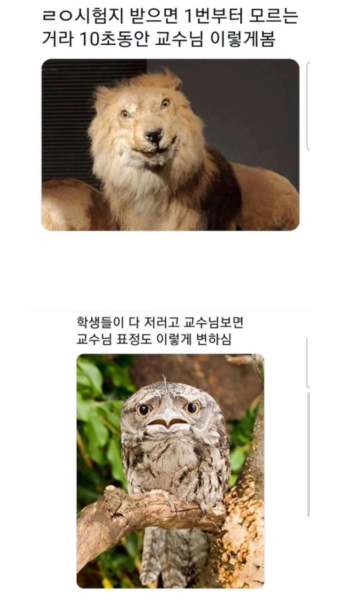 교수 vs 학생 > 유머게시판 | 퀘이사존 교수 vs 학생