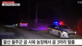 곰 세 마리 탈출 , 농장 부부 사망 > 자유게시판 | 퀘이사존 QUASARZONE 곰 세 마리 탈출 , 농장 부부 사망