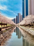 부산 영도 동삼해수천과 흰여울문화마을 > 음식/여행 | 퀘이사존 QUASARZONE 부산 영도 동삼해수천과 흰여울문화마을