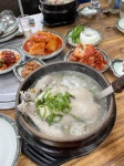 더운 날씨 몸보신 삼계탕 > 음식/여행 | 퀘이사존 QUASARZONE 더운 날씨 몸보신 삼계탕