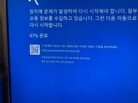 무한 블루스크린입니다ㅠㅠ 조언 부탁드립니다 > 기타/주변기기 | 퀘이사존 QUASARZONE 무한 블루스크린입니다ㅠㅠ 조언 부탁드립니다