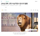 속보) 경북 고령 사설목장서 암사자 탈출 > 자유게시판 | 퀘이사존 QUASARZONE 속보) 경북 고령 사설목장서 암사자 탈출